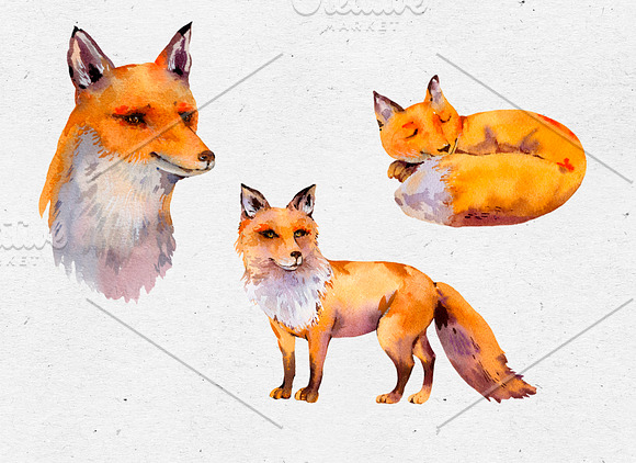 Watercolor Fox Woodland Clipart in Illustrations - product preview 5