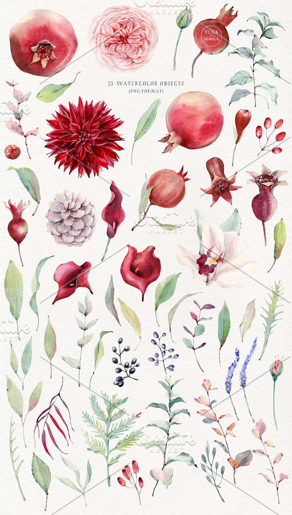 POMEGRANATE SEASON Watercolor set in Illustrations - product preview 1