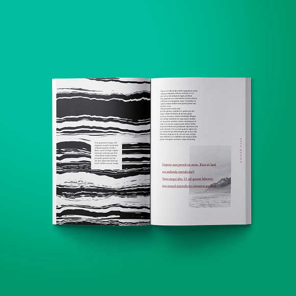 Fluid Layout (Indesign) in Magazine Templates - product preview 2