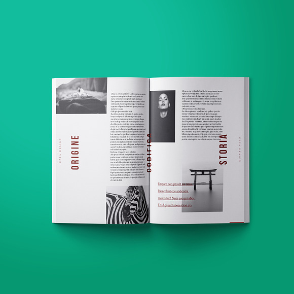 Fluid Layout (Indesign) in Magazine Templates - product preview 3