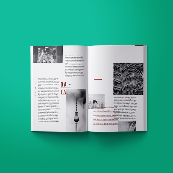 Fluid Layout (Indesign) in Magazine Templates - product preview 8