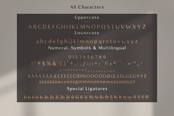 Lofi Cottage - Rustic Sans Serif in Sans-Serif Fonts - product preview 8