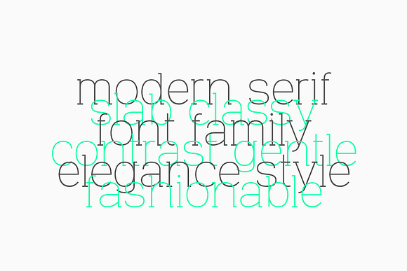 Venice Serif - Font Family in Serif Fonts - product preview 4