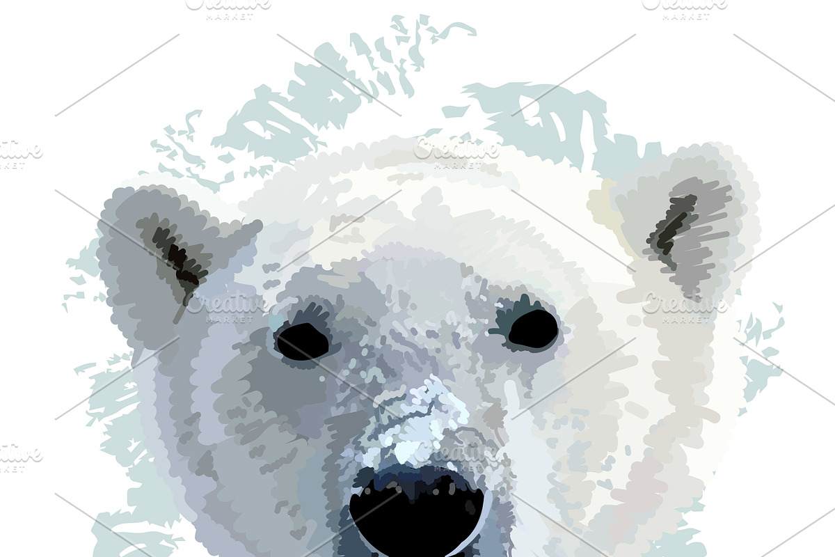 The head of a polar bear in Illustrations - product preview 8
