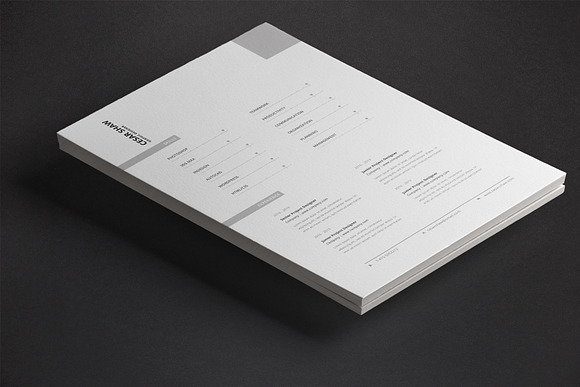 Corvus Resume Template in Resume Templates - product preview 8