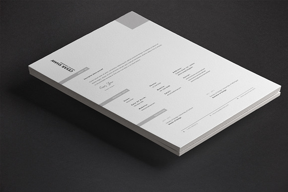 Corvus Resume Template in Resume Templates - product preview 9
