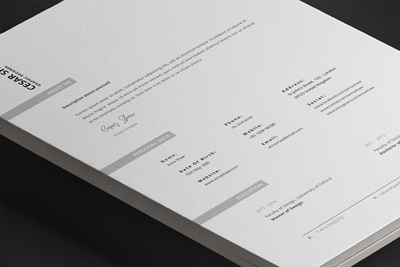 Corvus Resume Template in Resume Templates - product preview 11
