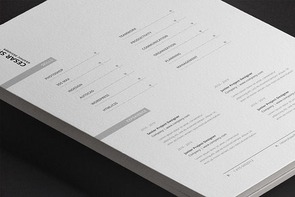 Corvus Resume Template in Resume Templates - product preview 12