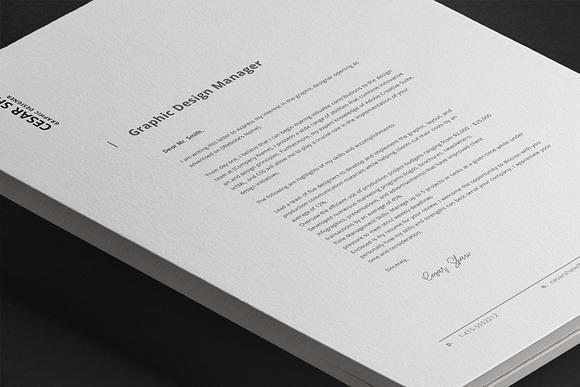 Corvus Resume Template in Resume Templates - product preview 13