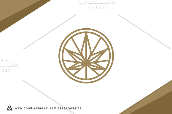 Cannabis Logo Template in Logo Templates - product preview 2