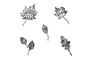 Leaves in sketch style, vector