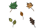 Leaves in sketch style, vector