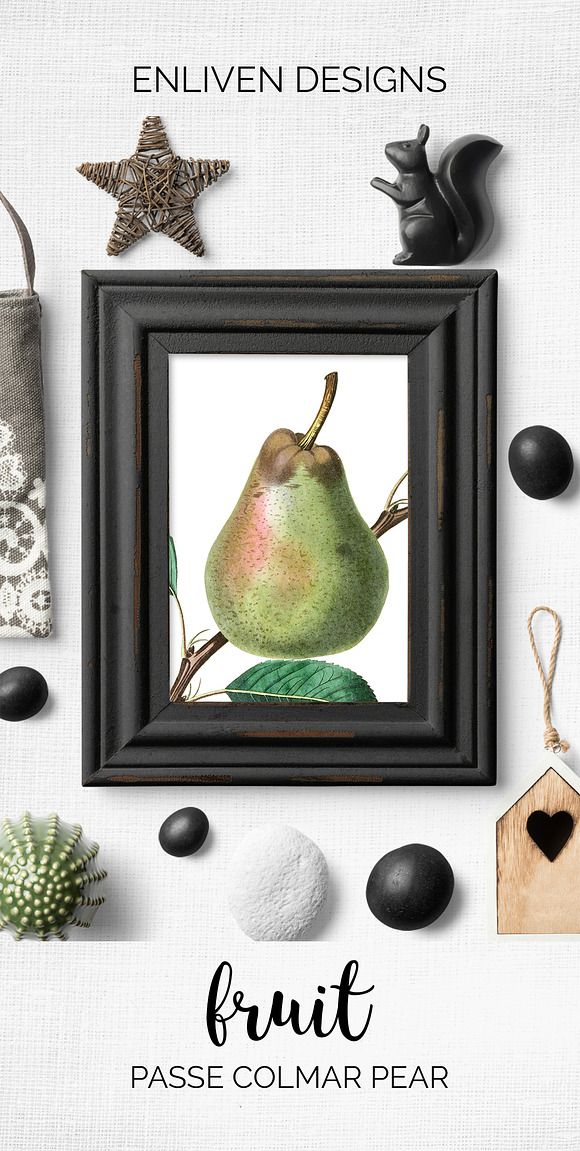 Green Pear Vintage Fruit Graphic in Illustrations - product preview 4