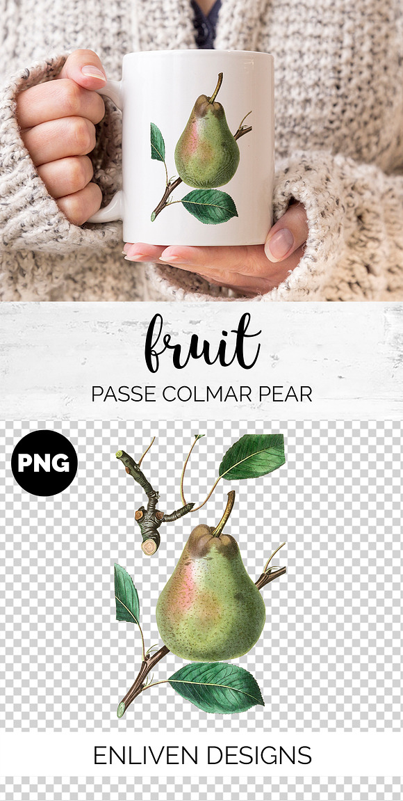 Green Pear Vintage Fruit Graphic in Illustrations - product preview 7