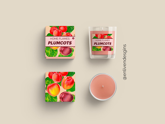 Vintage Fruit Plumcots Illustration in Illustrations - product preview 1