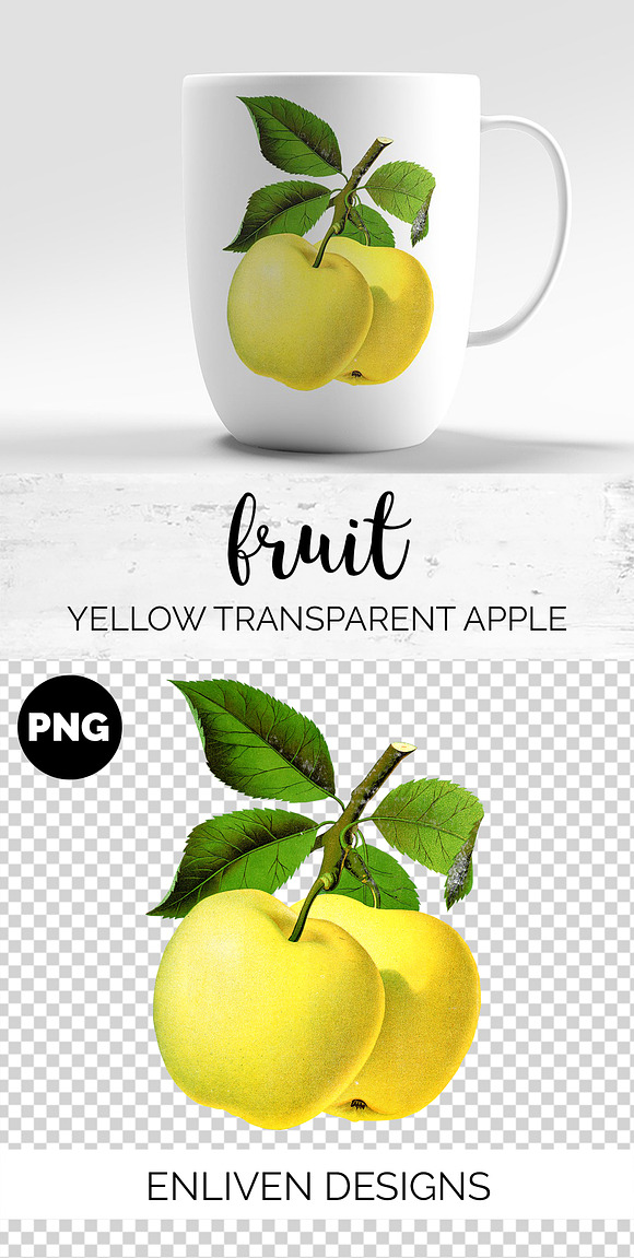 Yellow Transparent Apple Vintage in Illustrations - product preview 1