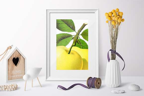 Yellow Transparent Apple Vintage in Illustrations - product preview 6