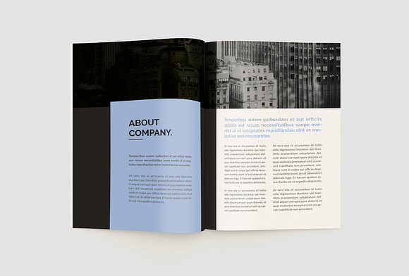 Design Company Profile in Brochure Templates - product preview 4
