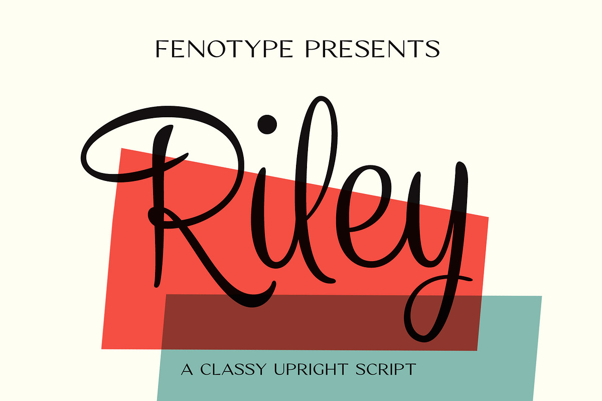 Riley -Vintage Script in Script Fonts - product preview 8