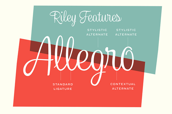 Riley -Vintage Script in Script Fonts - product preview 2