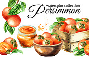 Persimmon. Watercolor set
