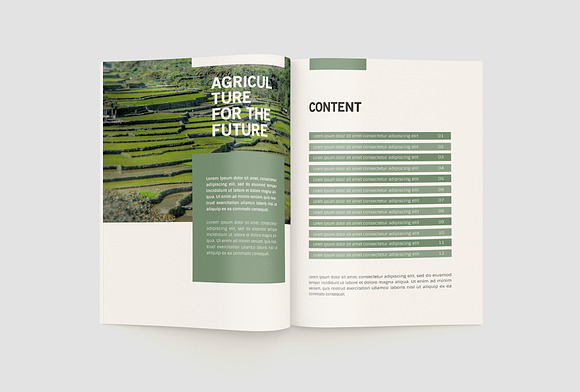 Agriculture Company Profile in Brochure Templates - product preview 3