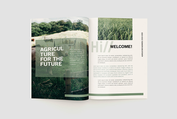 Agriculture Company Profile in Brochure Templates - product preview 4