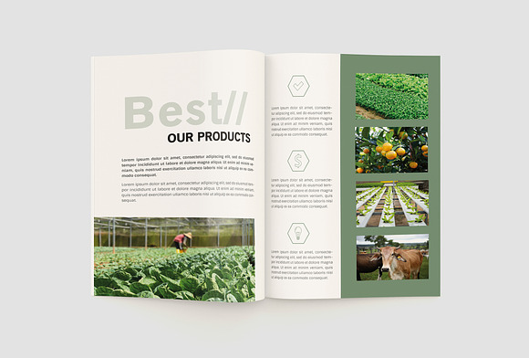 Agriculture Company Profile in Brochure Templates - product preview 9