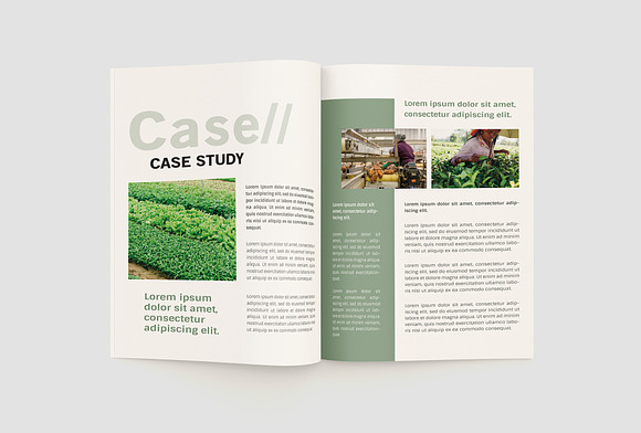 Agriculture Company Profile in Brochure Templates - product preview 10