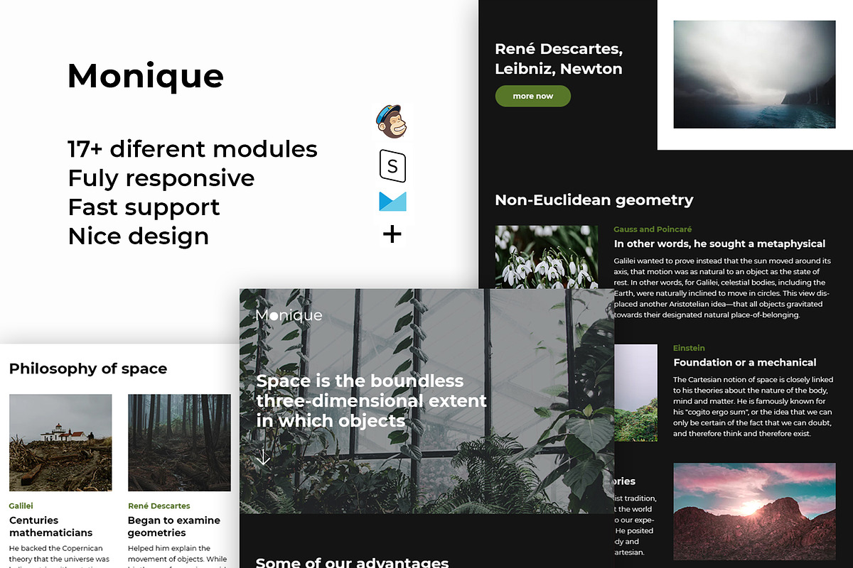 Monique – Responsive Email template in Mailchimp Templates - product preview 8