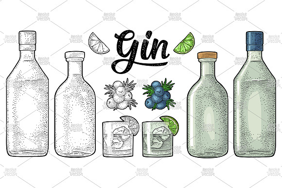 Glass, bottle Gin, Juniper berries in Illustrations - product preview 1
