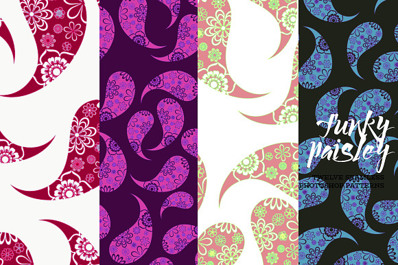 Funky Paisley in Patterns - product preview 1