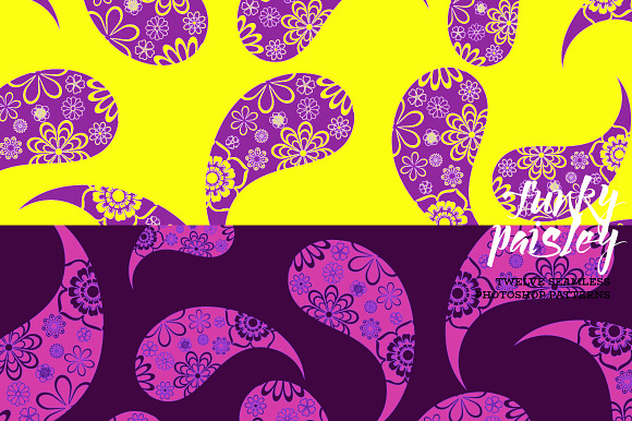 Funky Paisley in Patterns - product preview 3