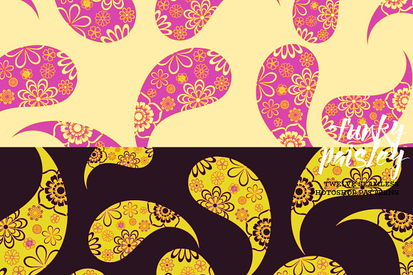 Funky Paisley in Patterns - product preview 5