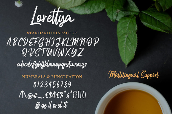 Lorettya - Brush Font in Script Fonts - product preview 7