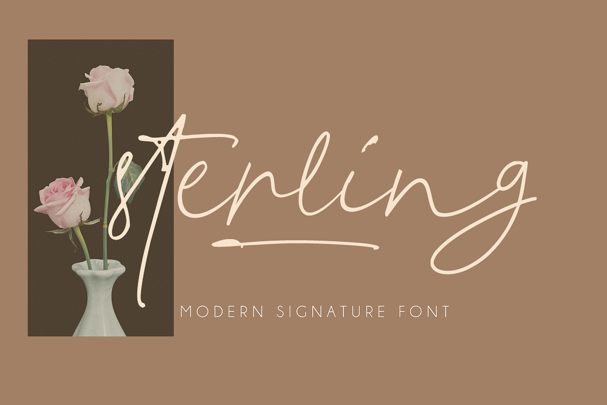 Sterling Script in Script Fonts - product preview 8