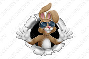Easter Bunny Rabbit in Shades