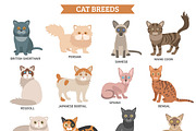 Cat breed flat icons set