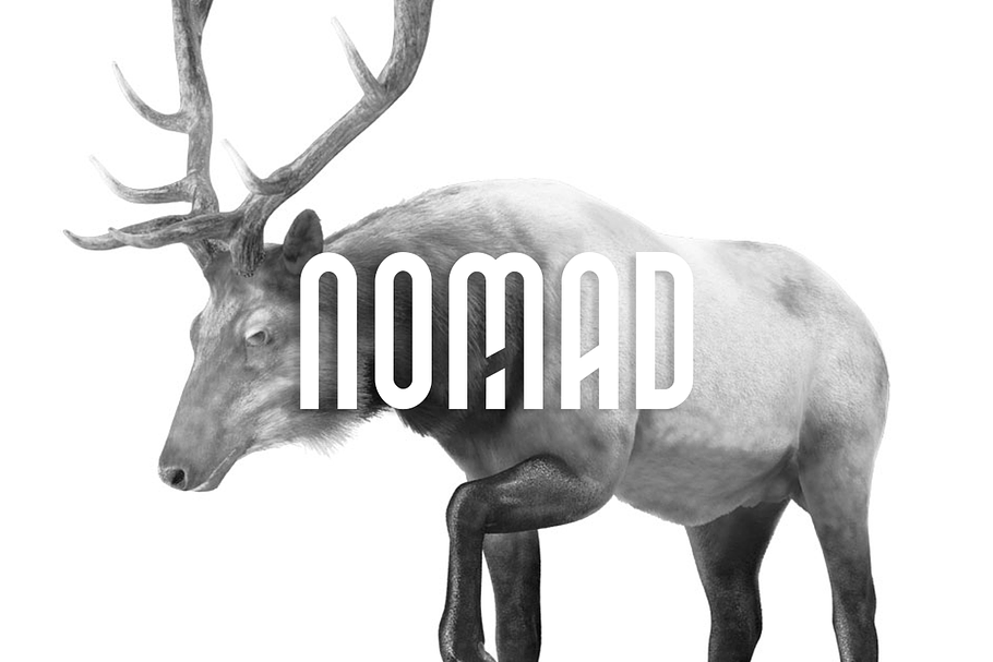 NOMAD - Unique Display Typeface in Display Fonts - product preview 8