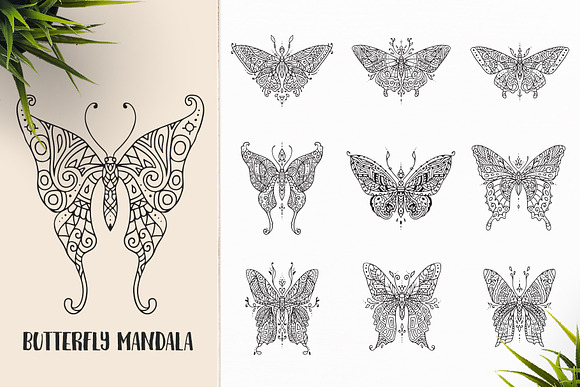 530 Vector Mandala Ornaments Bundle in Illustrations - product preview 7