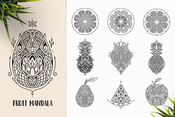 530 Vector Mandala Ornaments Bundle in Illustrations - product preview 9
