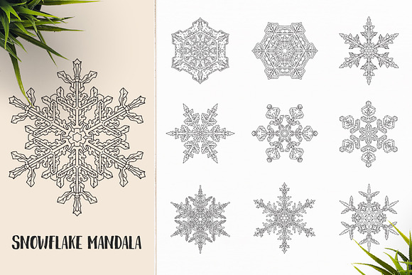 530 Vector Mandala Ornaments Bundle in Illustrations - product preview 15