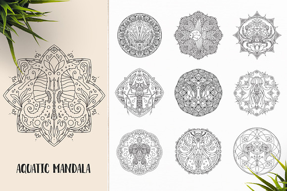 530 Vector Mandala Ornaments Bundle in Illustrations - product preview 19