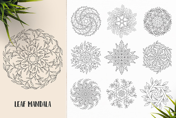 530 Vector Mandala Ornaments Bundle in Illustrations - product preview 25