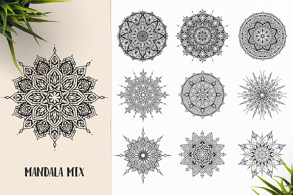 530 Vector Mandala Ornaments Bundle in Illustrations - product preview 40