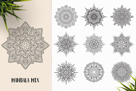 530 Vector Mandala Ornaments Bundle in Illustrations - product preview 41