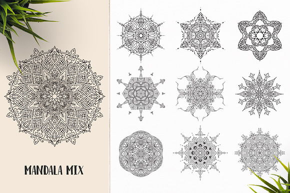 530 Vector Mandala Ornaments Bundle in Illustrations - product preview 42