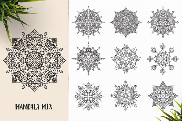 530 Vector Mandala Ornaments Bundle in Illustrations - product preview 43