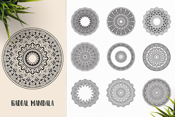 530 Vector Mandala Ornaments Bundle in Illustrations - product preview 44