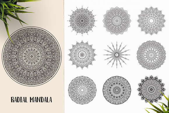530 Vector Mandala Ornaments Bundle in Illustrations - product preview 45